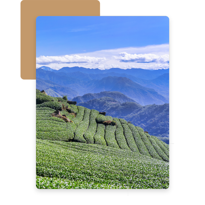 台灣生活需要幫忙