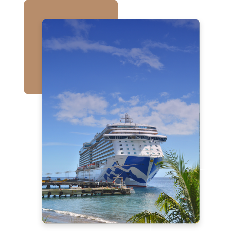 多米尼克生活需要幫忙