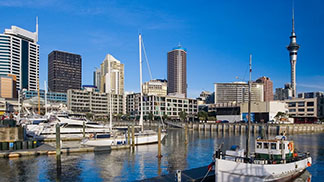 高樓住宅（公寓、共管式）