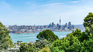 高樓住宅（公寓、共管式）